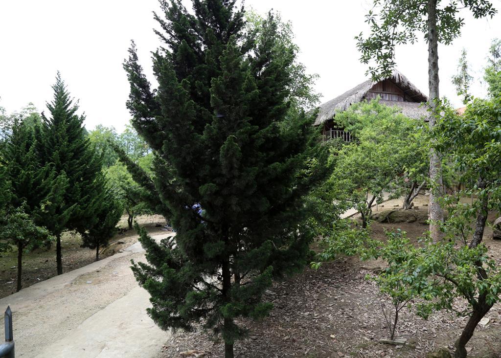 Sa House Bac Ha Apartment Екстериор снимка