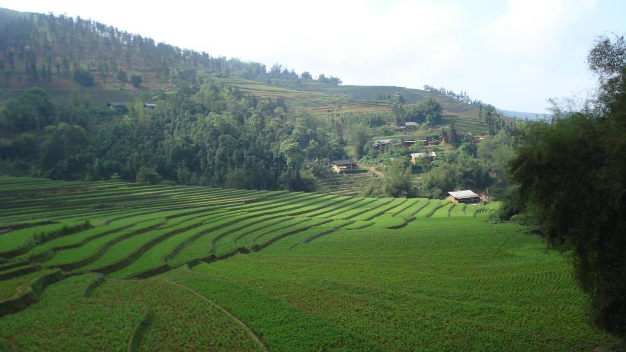 Sa House Bac Ha Apartment Екстериор снимка