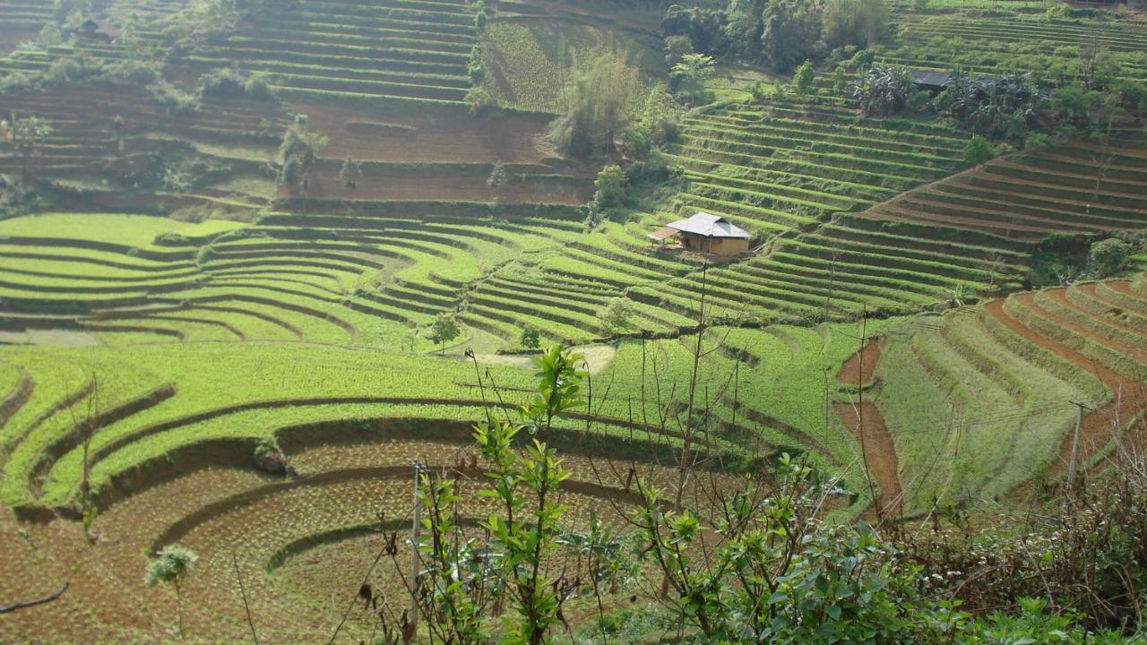 Sa House Bac Ha Apartment Екстериор снимка