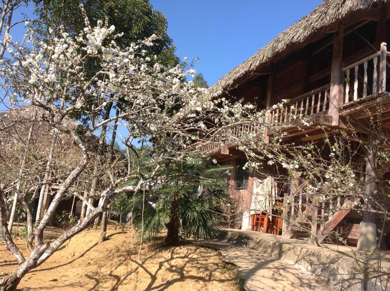 Sa House Bac Ha Apartment Екстериор снимка