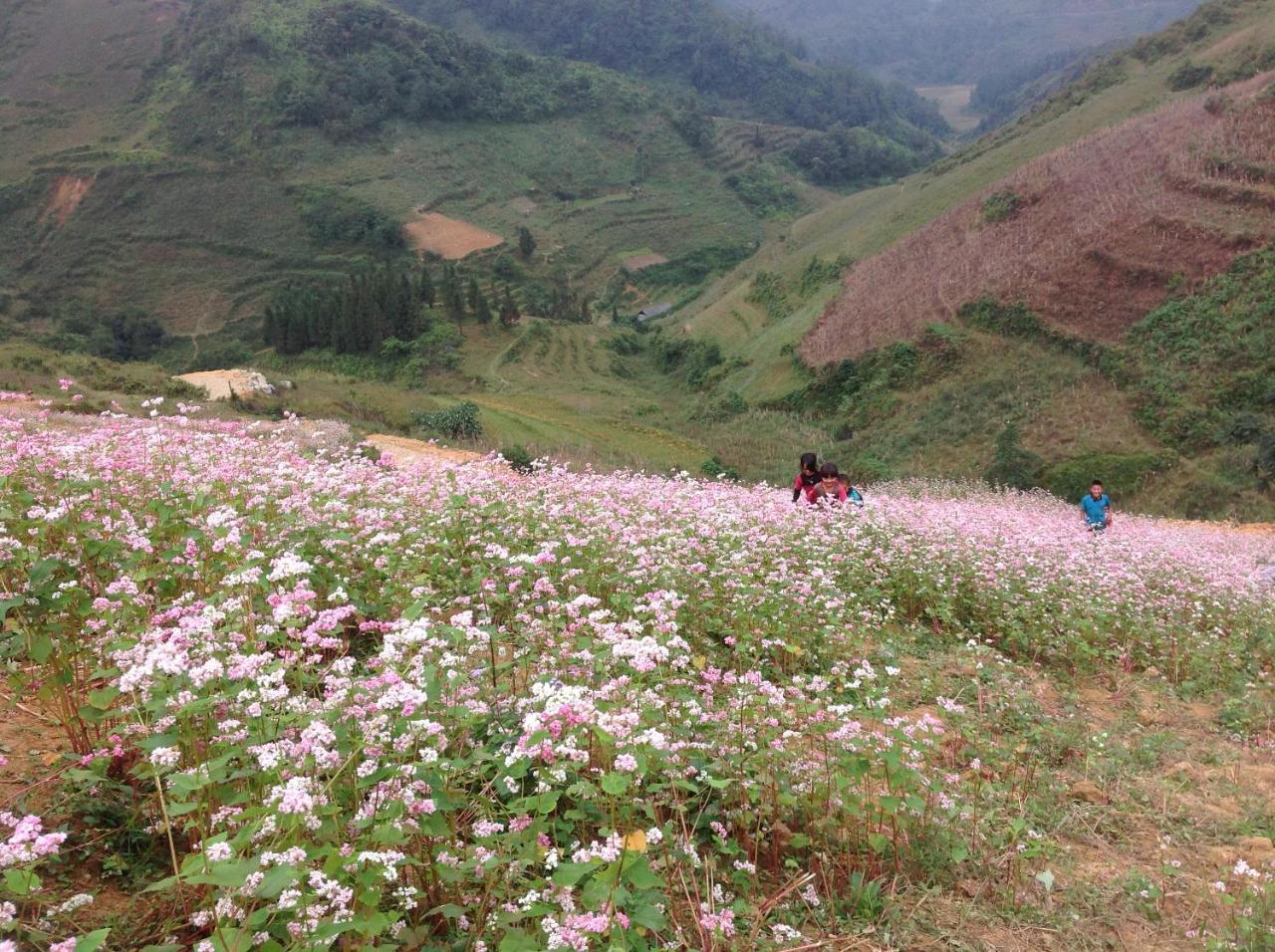 Sa House Bac Ha Apartment Екстериор снимка
