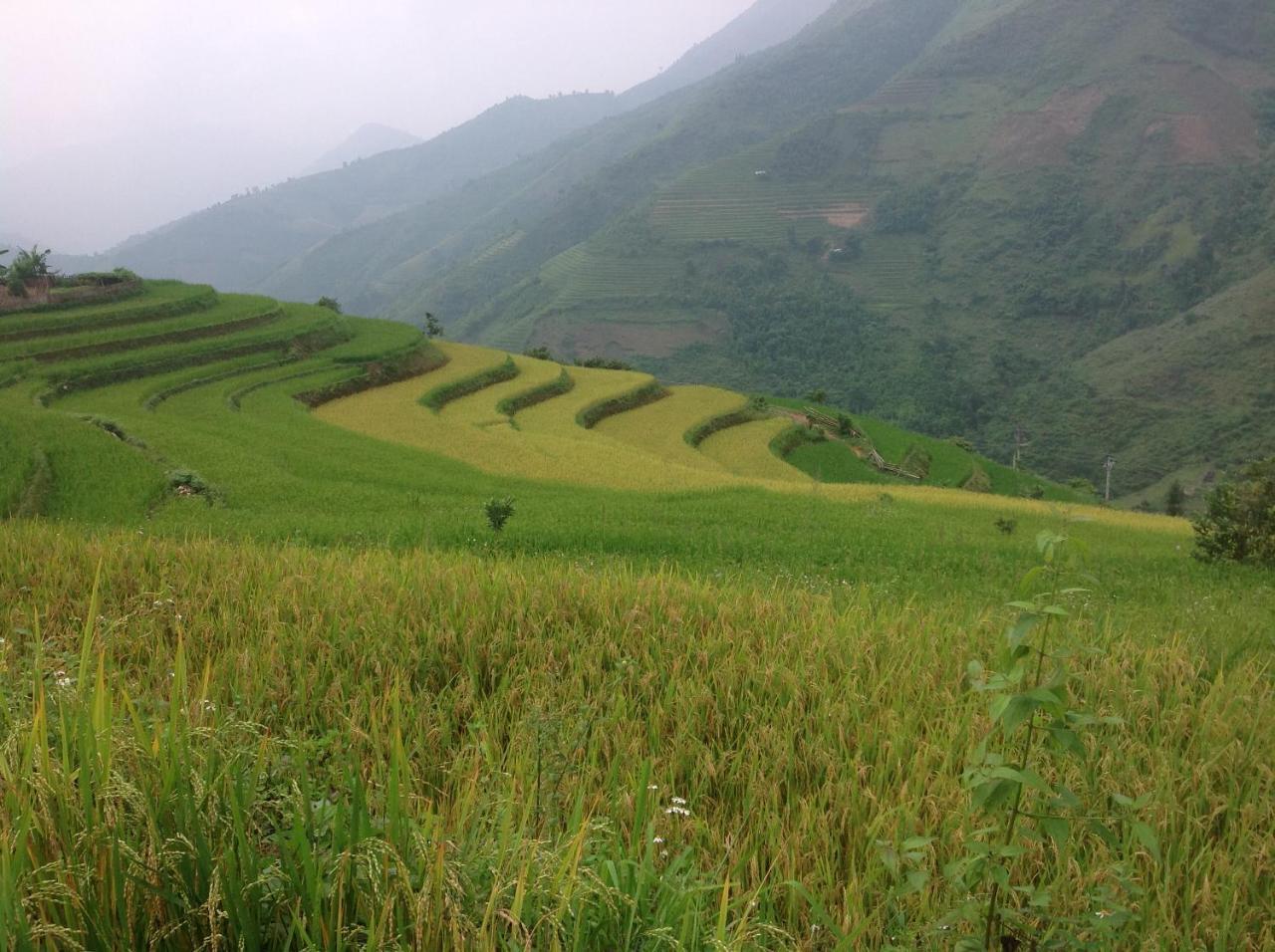Sa House Bac Ha Apartment Екстериор снимка