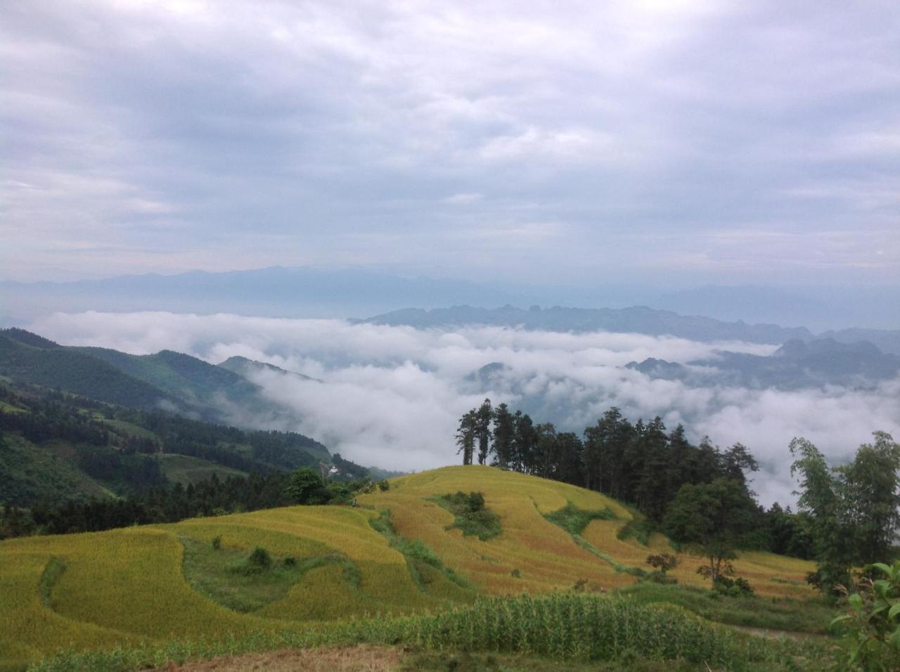 Sa House Bac Ha Apartment Екстериор снимка