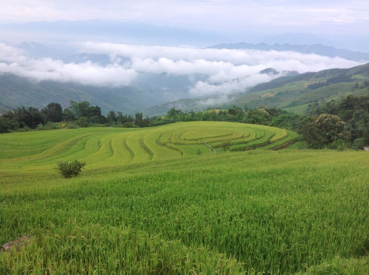 Sa House Bac Ha Apartment Екстериор снимка