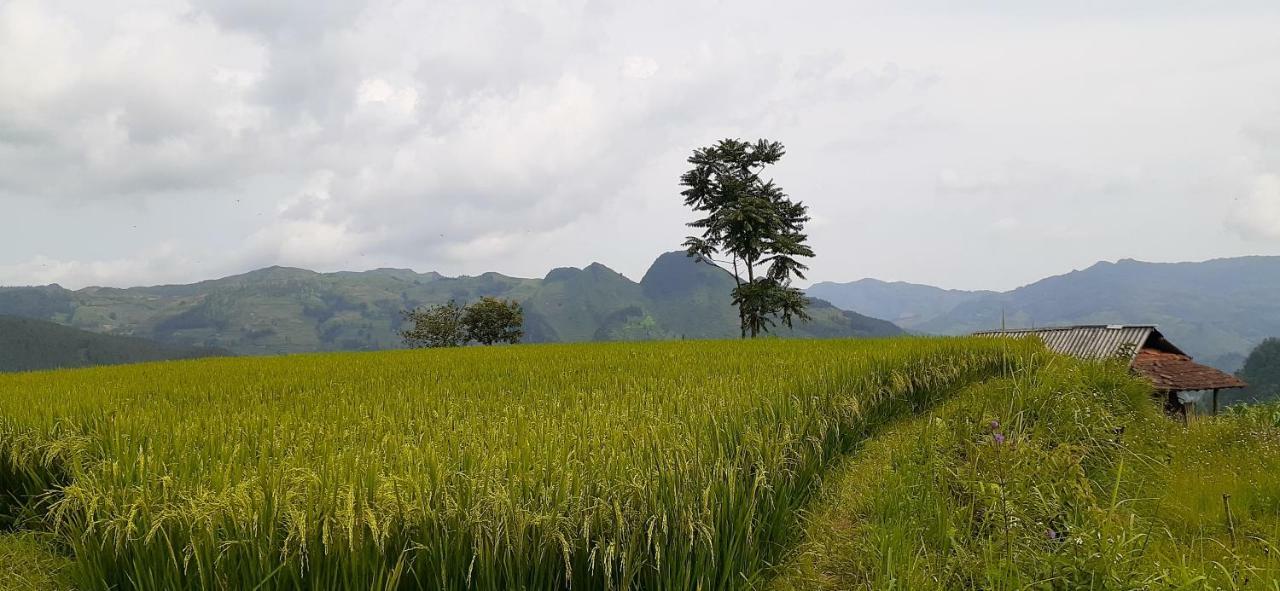 Sa House Bac Ha Apartment Екстериор снимка